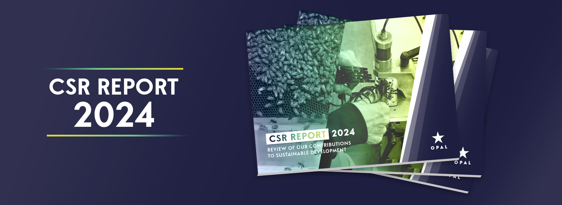 CSR Report
