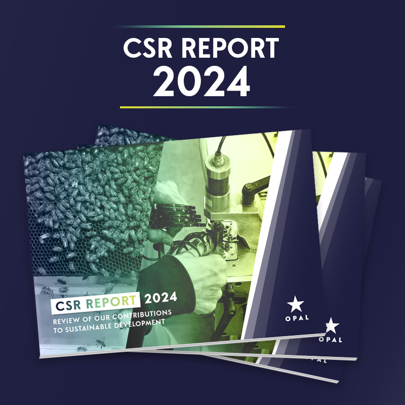 CSR Report